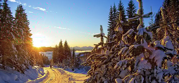 Vinter_2